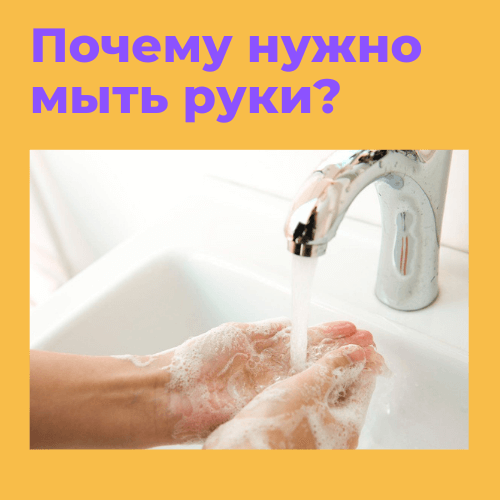 Почему нужно мыть руки